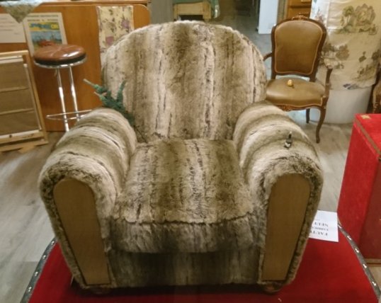 Fauteuil et son pouf neuf et unique fourré. 